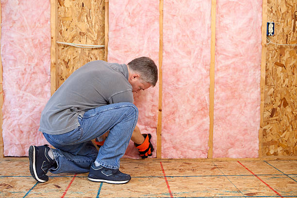 Best Eco-Friendly Insulation in Navarre, OH
